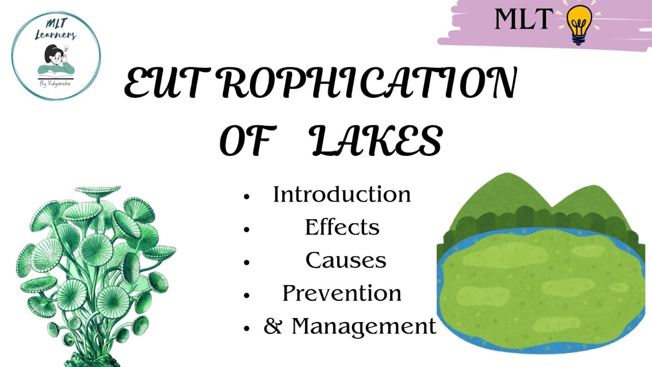 DMLT- Eutrophication of lakes || its effects || causes || prevention and management