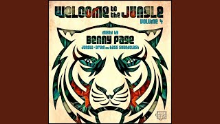 Welcome To The Jungle Vol. 4 (Continuous DJ Mix)