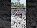 Manual Mud Lifting Shows Real Work Skill That Pays ⚒️ #soilwork