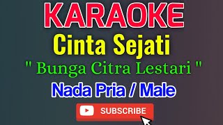 Cinta Sejati Karaoke Nada Pria / Male - Bung Citra Lestari ( BCL )