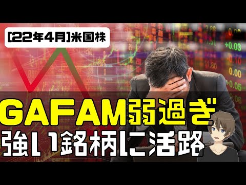 [米国株]GAFAM弱過ぎ。強い銘柄に活路！