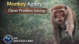 "Monkey Leadership: Adaptability and Creative Problem Solving" @TheSuccessLensOfficial 