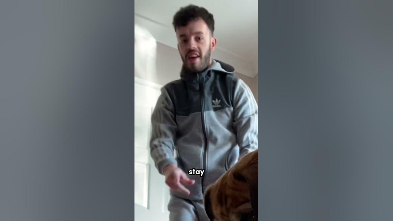 how-long-can-my-dog-stay-without-eating-my-food-youtubeshorts-shorts