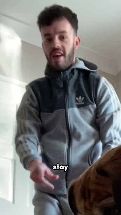 how-long-can-my-dog-stay-without-eating-my-food-youtubeshorts-shorts