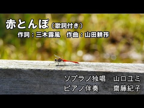赤とんぼ（歌詞付き）　ソプラノ独唱　山口ユミ