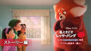 「私ときどきレッサーパンダ」6/10 MovieNEX発売　ストーリー編