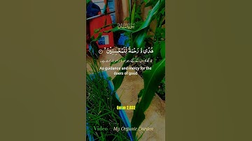 سورة لقمان . تلاوة مباركة بصوت جميل #اكسبلور #quran #القرآن_الكريم  #قرآن