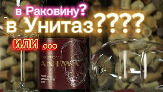 Интересное вино АРИСТОВ АНИМА за 499 рублей от Кубань-вино. ANIMA ARISTOV Санджовезе.