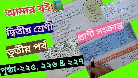 Amar Boi Class 2 Part 3 page 225,226 & 227 @primaryschooleducation34