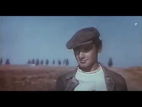 Русское поле 1971 г