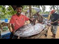 Amazing 119 kg big tuna fish market and cutting skills in sri lankan village