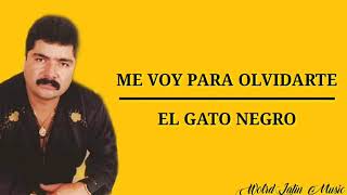 Versión 2 del video