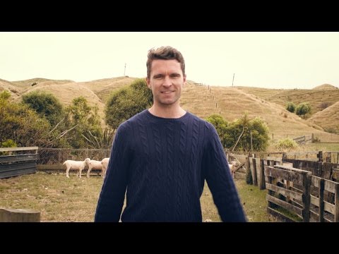 Allbirds: Meet The Wool Runners
