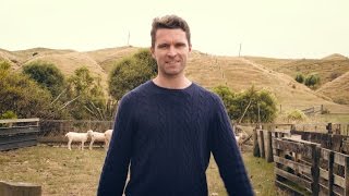 Meet The Wool Runners