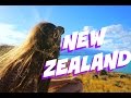 New Zealand Road Trip