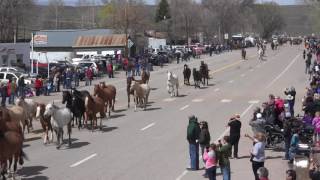 Maybell Annual Horse Drive, May 2016