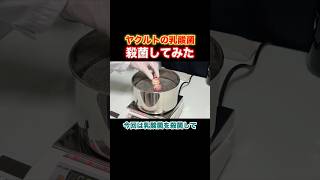 ヤクルトの乳酸菌を殺菌して無菌にしてみた!【Part①】