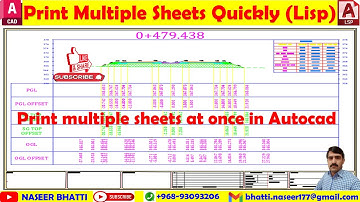 Print multiple sheets at once in Autocad | Lisp to Print Multiple sheets | Print from Model Space