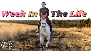 Week in the Life of an Equestrian YouTuber | This Esme AD