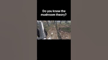 Do you know the mushroom theory? #dayz #dayzstandalone #dayzgameplay #gaming #gameplay