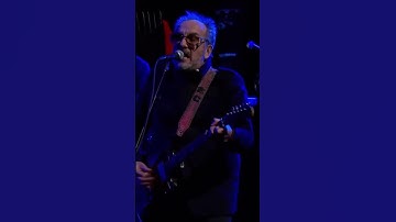 Thumbnail of Elvis Costello & The Imposters performing "Farewell, OK" from 'The Boy Named If' on The Late Show.
