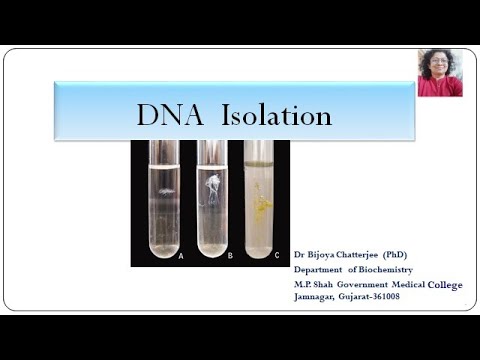 W&#233;i kann DNA Isolatioun n&#235;tzlech sinn fir d&#39;Gesellschaft?