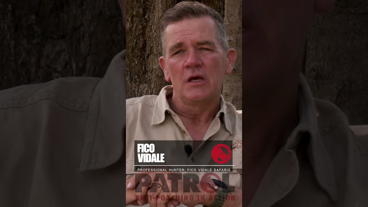 The Tsetse Fly #shortsyoutube