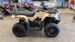 2024 Arctic Cat Alterra 300
