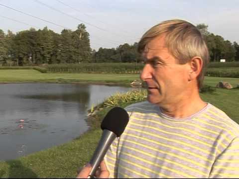 Video: Kaip Sukurti Gėlių Sodą Prie Tvenkinio