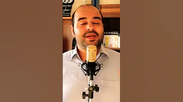معلومات صادمة عن شركة تكنو Shorts 