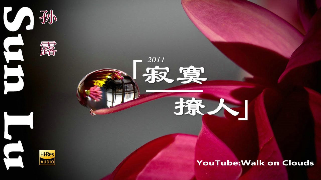 孙露Sun lu 无损发烧音乐专辑《寂寞撩人》hifi 无损音质歌曲 孙露金曲精选集国语老歌 Sun lu songs with lyrics ...