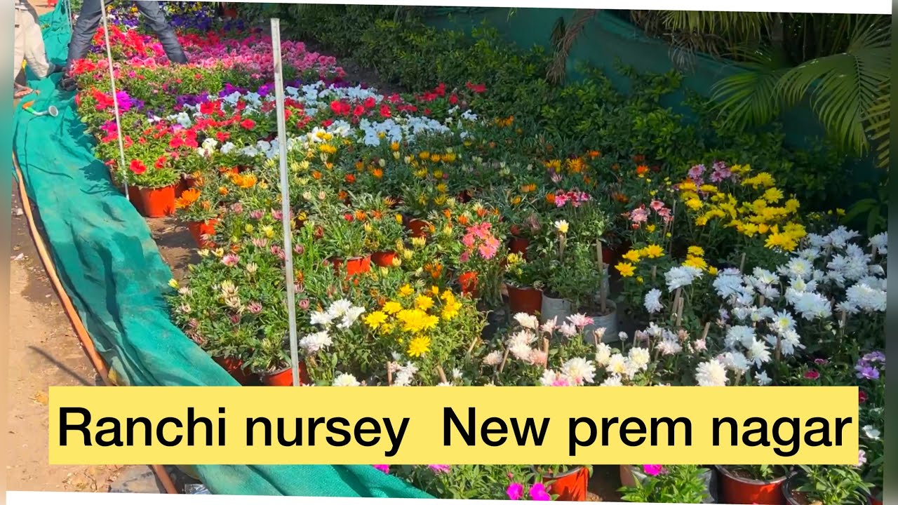 Flower Nursery New prem Nagar Ranchi singh more YouTube