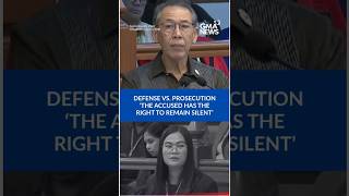 Sison vs. Diokno at the VP Sara Duterte impeachment trial | GMA News screenshot 2
