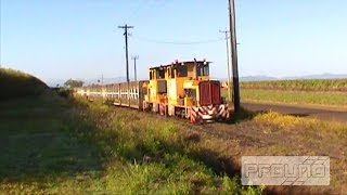 Cane Locomotives Doing It's Empty Bin Delivery [SD]