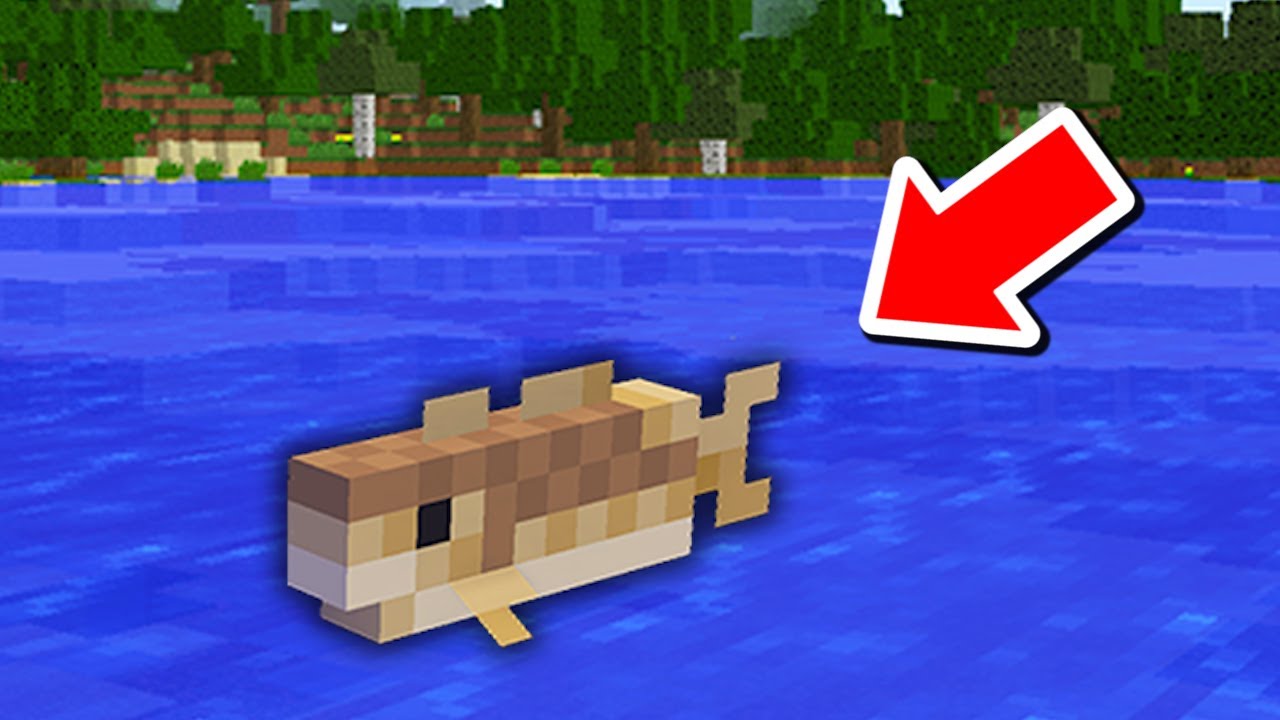 さかなとして生きるマインクラフトの難易度が本気で高すぎたｗｗ まいくら マインクラフト Youtube