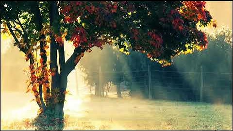 صوت يريح الاعصاب🍃🍃 ويهدي القلوب/روائع التلاوات يوسف الصقير