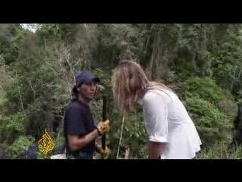 استئصال الكوكا في كولومبيا - 16 فبراير 2008