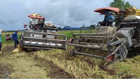 máy cắt 70 tàn binh tóc độ cắt lúa sặp rất nhanh tập 89#maibangtv