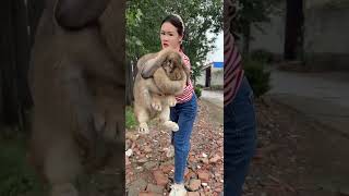 The.Xuyuanlianmaiguagua#shorts #trendingvideo #funny #animallovers  😱💯🎉 #funny Profile