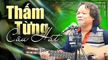 THẤM TỪNG CÂU HÁT Với Liên Khúc Hay Đặc Sắc Của Toàn Nguyễn | Mười Năm Tình Cũ, Rồi Cũng Già...