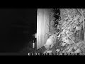 back gate surveillance, night vision