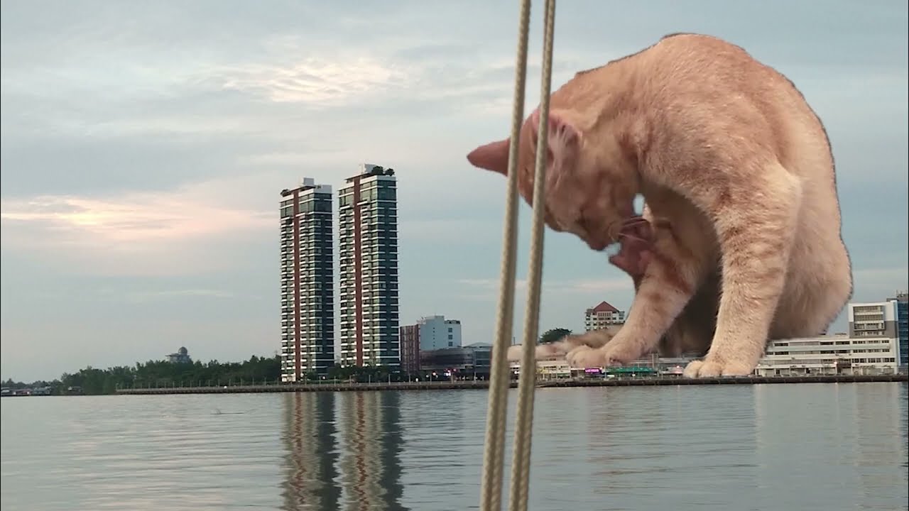 MMV3043 SPECIAL EFFECT Dua Sejoli