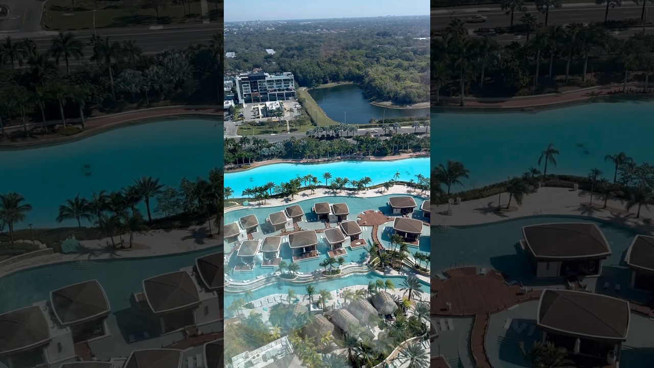 Какие виды!