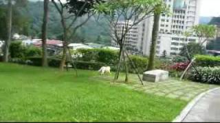 20100620-01 Money