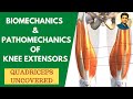 Biomechanics & Pathomechanics of Knee Extensors | Quadriceps Uncovered