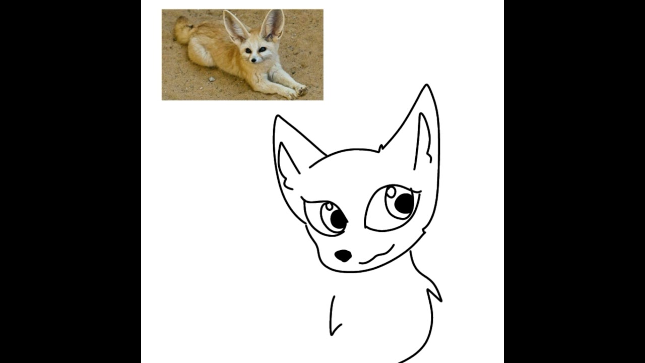 Desenhando uma raposa feneco! 🦊🌵🏜️💕