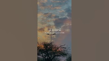 القارئ عبدالرحمن مسعد من سورة المائدة