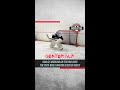 Goalies working on staying over the puck while making blocker saves