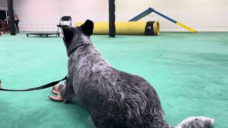 Preacher agility class 2