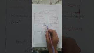 revaluation account |ch-3 admission of a partner | class 12th #accountancy #account